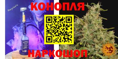 СК Сланцы
