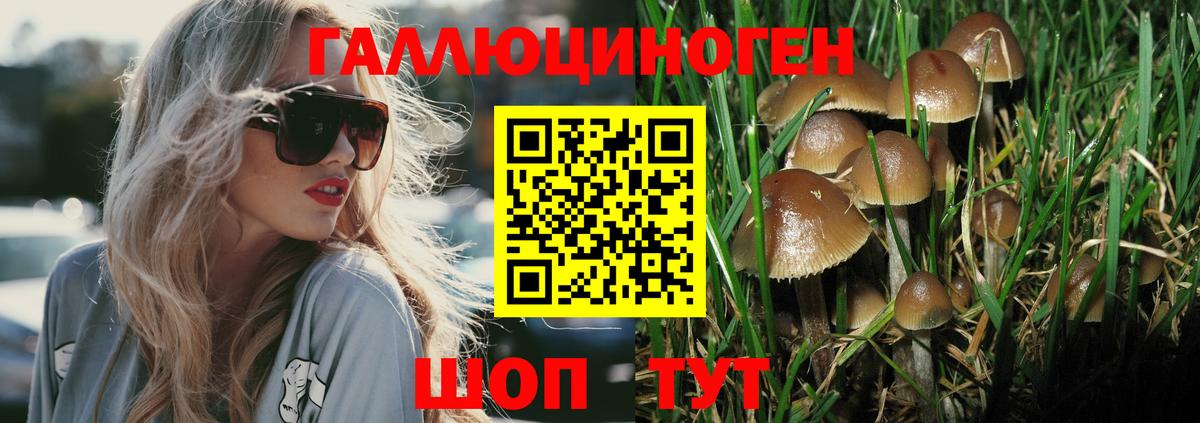 Галлюциногенные грибы Cubensis Мелеуз